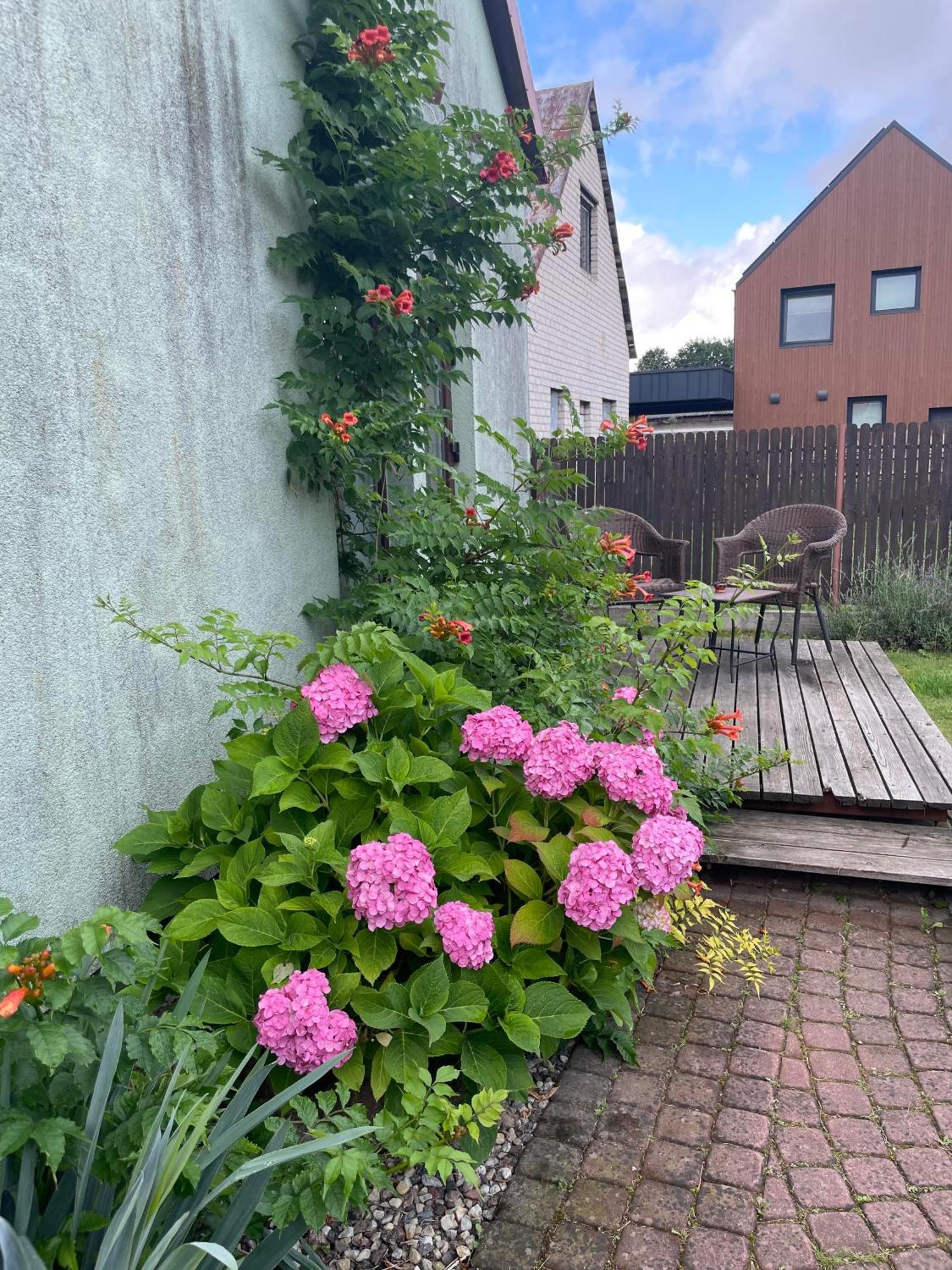 Namas Senamiestyje Apartment Kedainiai Luaran gambar